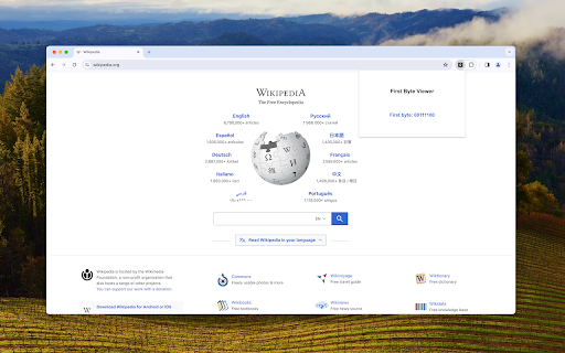 First Byte  from Chrome web store to be run with OffiDocs Chromium online