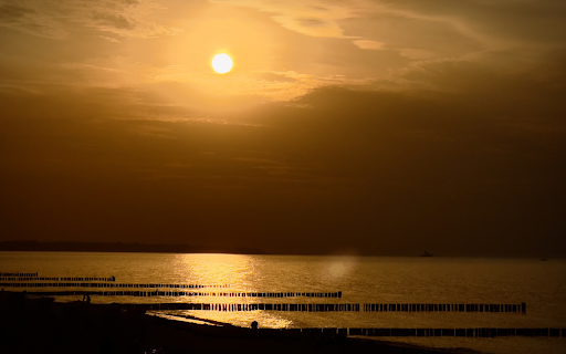Fish cage on the river  from Chrome web store to be run with OffiDocs Chromium online
