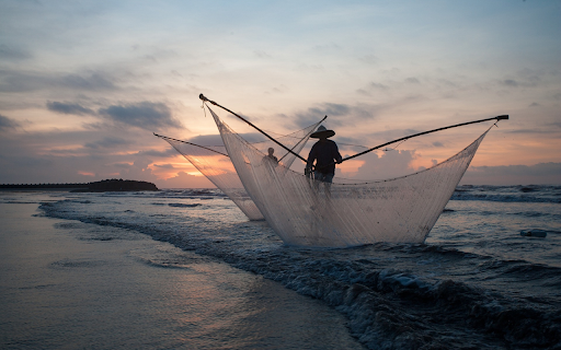 Fishermen scoop fish  from Chrome web store to be run with OffiDocs Chromium online