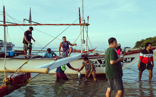 Fishing boats docked  from Chrome web store to be run with OffiDocs Chromium online