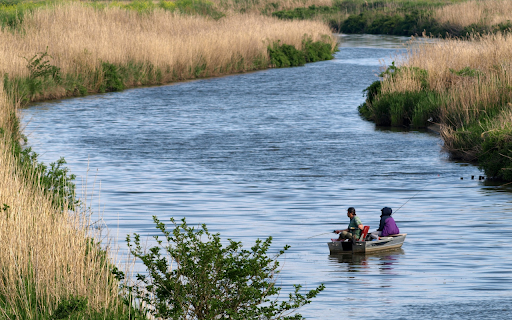 fishing on the river  from Chrome web store to be run with OffiDocs Chromium online