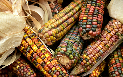 Five colored corn  from Chrome web store to be run with OffiDocs Chromium online
