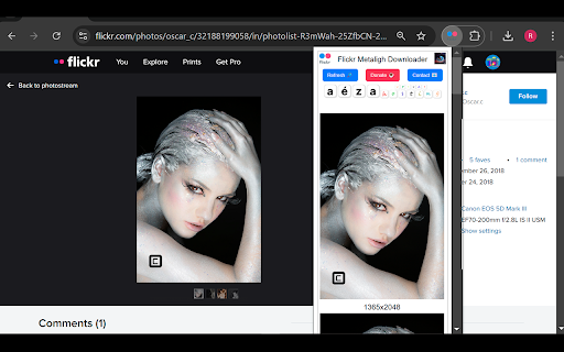 Flickr Metaligh Images Downloader  from Chrome web store to be run with OffiDocs Chromium online