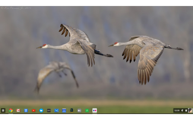 Flickr Wallpapers for Chromebook™  from Chrome web store to be run with OffiDocs Chromium online