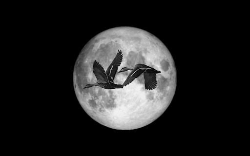 Flight Across the Moon  from Chrome web store to be run with OffiDocs Chromium online