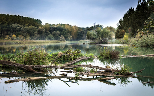 Floating tree  from Chrome web store to be run with OffiDocs Chromium online