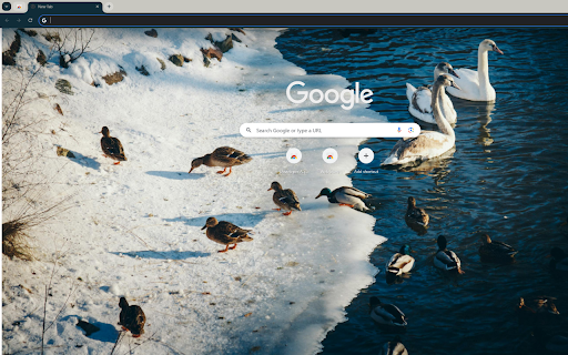 flock of geese and swans bathing in an icy river  from Chrome web store to be run with OffiDocs Chromium online