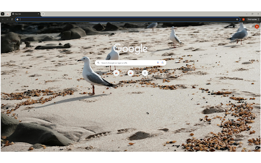 flock of seagulls foraging along a serene beach.  from Chrome web store to be run with OffiDocs Chromium online