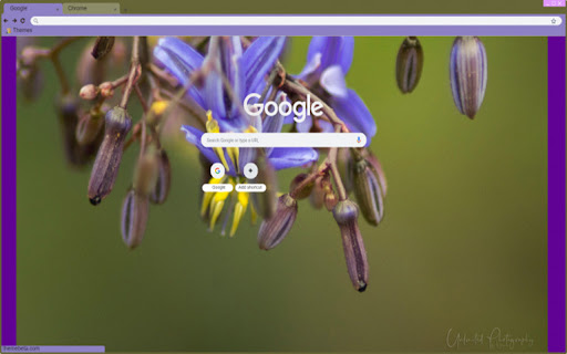 Floral  from Chrome web store to be run with OffiDocs Chromium online