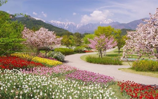 Floral Symphony Beneath Snowy Peaks  from Chrome web store to be run with OffiDocs Chromium online