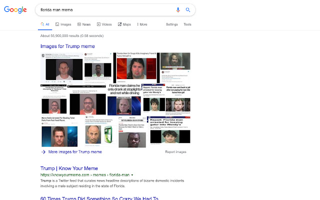 Florida Man to Trump  from Chrome web store to be run with OffiDocs Chromium online