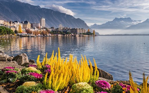 Flower bank  from Chrome web store to be run with OffiDocs Chromium online