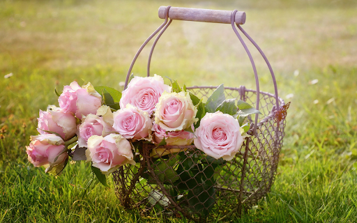 Flower basket  from Chrome web store to be run with OffiDocs Chromium online