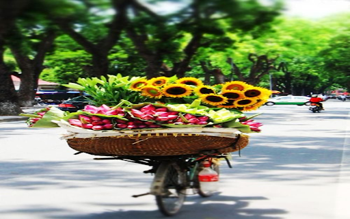 Flower bicycle on the street wallpaper  from Chrome web store to be run with OffiDocs Chromium online