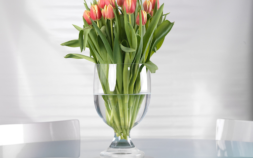 Flower cup  from Chrome web store to be run with OffiDocs Chromium online