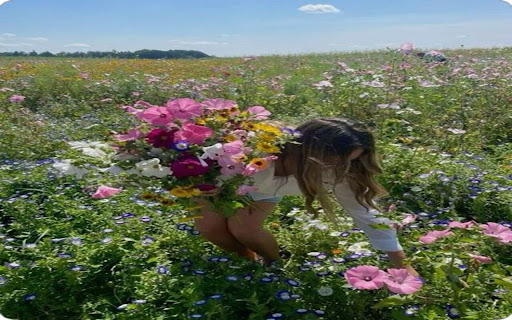 flower field and girl wallpaper  from Chrome web store to be run with OffiDocs Chromium online