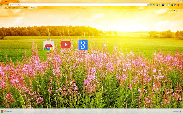 Flower Field In The Spring de la tienda web de Chrome se ejecutará con OffiDocs Chromium en línea