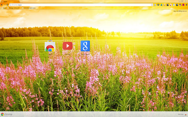 Flower Field In The Spring da Chrome Web Store será executado com OffiDocs Chromium online