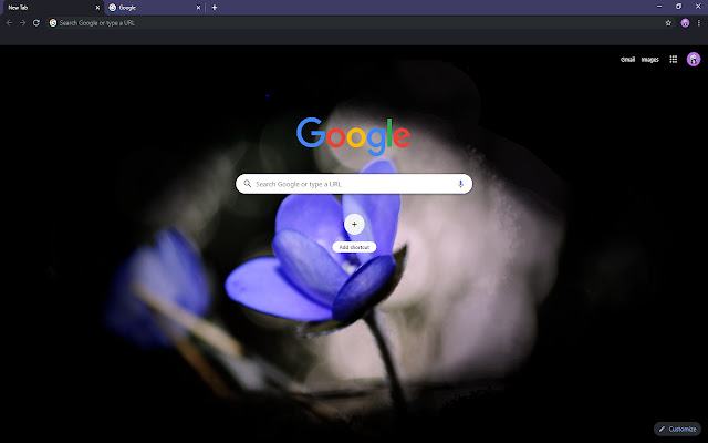 Flower in the Dark  from Chrome web store to be run with OffiDocs Chromium online