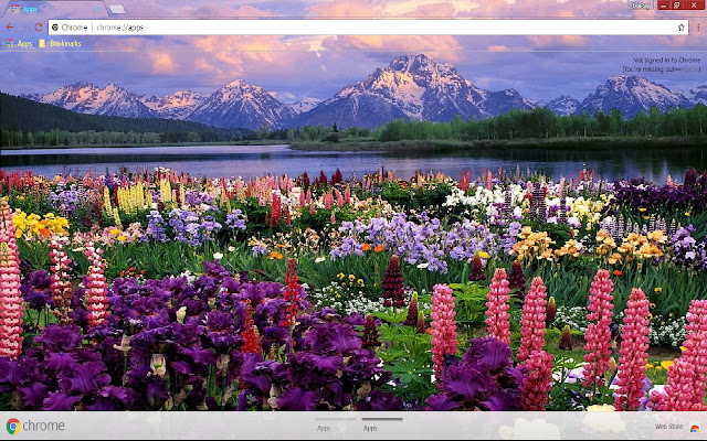 Flower Lake Lupine 1366*768  from Chrome web store to be run with OffiDocs Chromium online