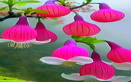 flower lantern wallpaper  from Chrome web store to be run with OffiDocs Chromium online
