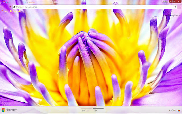 Flower Lilac Nature 1366*768  from Chrome web store to be run with OffiDocs Chromium online