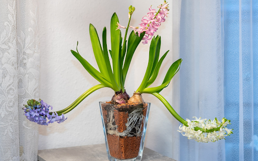 Flower pot and three flower branches  from Chrome web store to be run with OffiDocs Chromium online