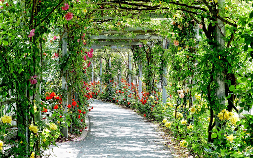 Flower Road  from Chrome web store to be run with OffiDocs Chromium online