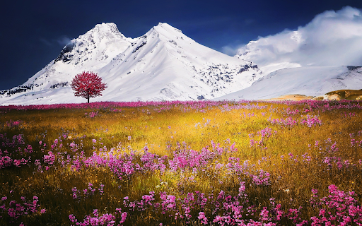 Flowers and mountains turn white  from Chrome web store to be run with OffiDocs Chromium online