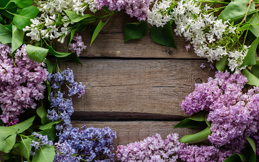 Flowers arranged in a circle  from Chrome web store to be run with OffiDocs Chromium online