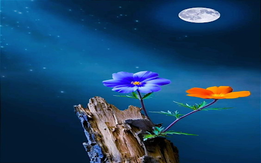 Flowers growing on wood Wallpaper  from Chrome web store to be run with OffiDocs Chromium online