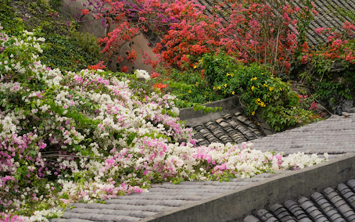 Flowers on the Roof  from Chrome web store to be run with OffiDocs Chromium online