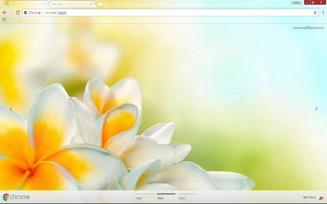 Flower Spring White Flower  from Chrome web store to be run with OffiDocs Chromium online