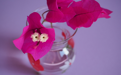 Flowers within flowers  from Chrome web store to be run with OffiDocs Chromium online