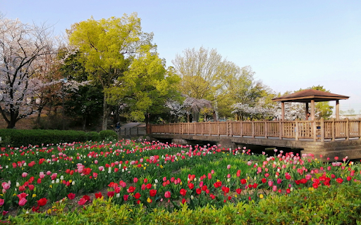 Flower viewing hut  from Chrome web store to be run with OffiDocs Chromium online