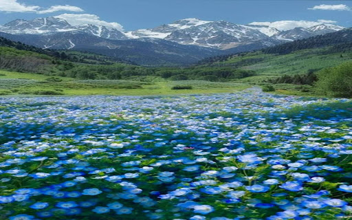 flowery prairie wallpaper  from Chrome web store to be run with OffiDocs Chromium online