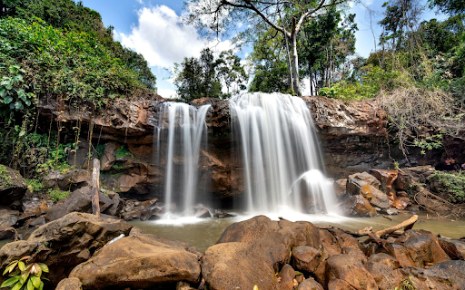 flowing stream  from Chrome web store to be run with OffiDocs Chromium online
