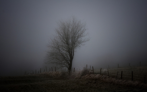 Fog and fences  from Chrome web store to be run with OffiDocs Chromium online