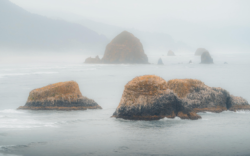 Foggy Coastline  from Chrome web store to be run with OffiDocs Chromium online