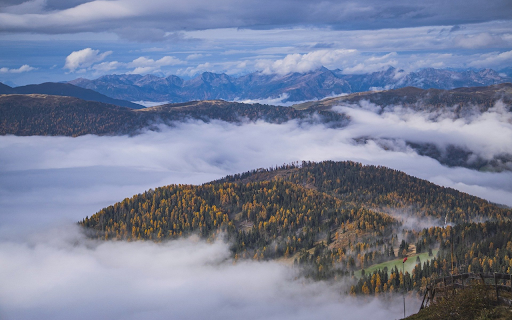 Foggy mountain forest  from Chrome web store to be run with OffiDocs Chromium online