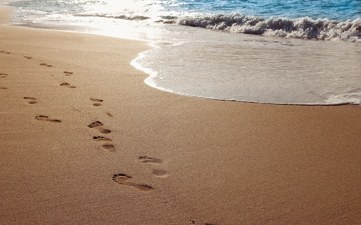 Footprint on the sand  from Chrome web store to be run with OffiDocs Chromium online