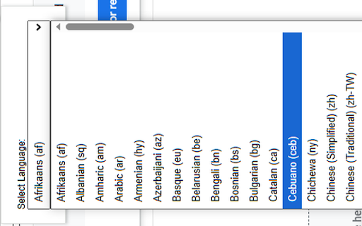 Force Page Language  from Chrome web store to be run with OffiDocs Chromium online