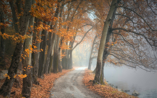 Forest along the lake  from Chrome web store to be run with OffiDocs Chromium online