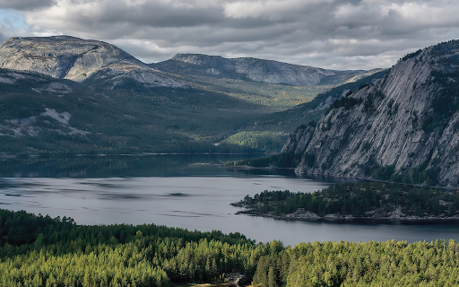 Forest along the lake shore  from Chrome web store to be run with OffiDocs Chromium online