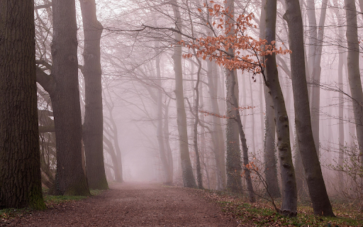 Forest along the road  from Chrome web store to be run with OffiDocs Chromium online