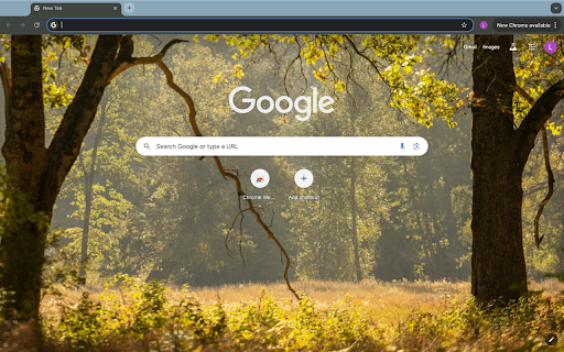 forest and sunlight  from Chrome web store to be run with OffiDocs Chromium online