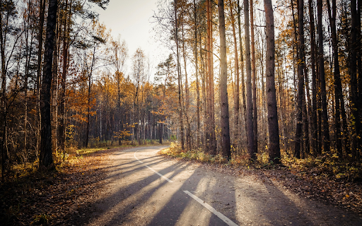 Forest and sunny path  from Chrome web store to be run with OffiDocs Chromium online