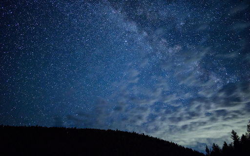Forest and thousands of stars  from Chrome web store to be run with OffiDocs Chromium online