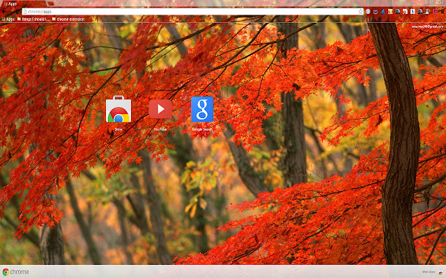 Forest At Fall  from Chrome web store to be run with OffiDocs Chromium online