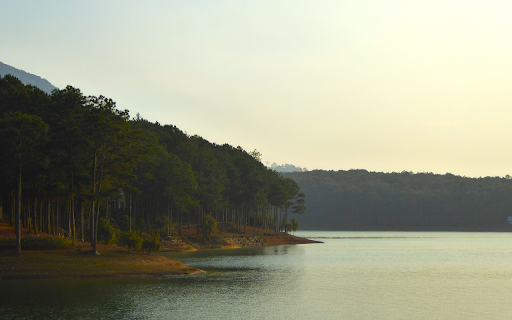 Forest by the lake  from Chrome web store to be run with OffiDocs Chromium online